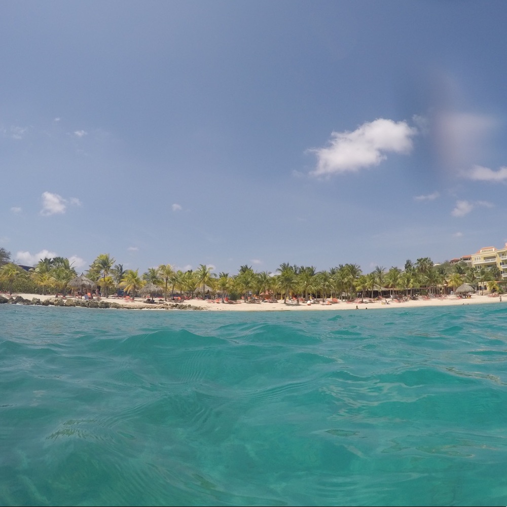 Meet your Posher, Claudia